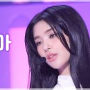 캣츠아이 이미지