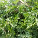 새순농장 이미지