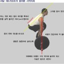 프라임 PT 탄방점 이미지