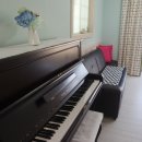 데스티노 패밀리 이미지