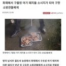 은혜네 이미지