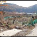 판대보건진료소 이미지