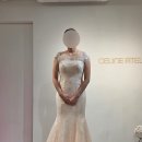 아뜰리에2 | [드레스] 셀린아뜰리에 본식가봉 후기 📸｜2부드레스(골드, 핫핑크)