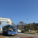 법원 | 대전지방법원 방청 후기