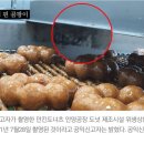 '더러운 공장' 던킨, 민주노총·언론 탓하면 "대가 준다" 점주 회유 이미지