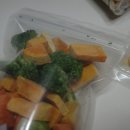 명랑견생 이미지