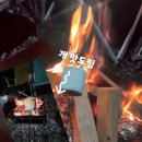 캠핑소리251 | 캠핑소리251 애견동반캠핑장 다녀온 후기