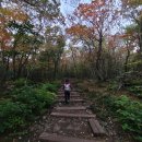 제주도 한라산 어게인 (251107) 이미지