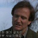 렙타일케이지 이미지