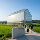 2026 평택 핫플! 논밭뷰가 예술인 유리온실 카페 [타임슬라이스] 내돈내산 힐링 후기 🌿☕️