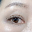 리스키 섀도우 팔레트 더스티 블루 발색 및 시멘트 음영 활용 꿀팁