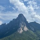 화랑미술인쇄
