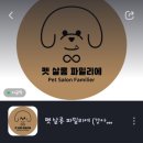미용하는 강아지 살롱 이미지
