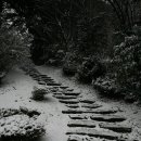 성모여자고등학교 이미지