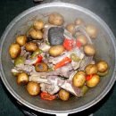 몽골보츠 이미지