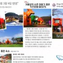 흰수염고래리조트 이미지