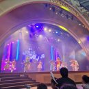 롯데월드 공연 / 밤 퍼레이드 35주년 world of light / 와일드정글후기