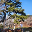 박물관역(타고가야) 이미지