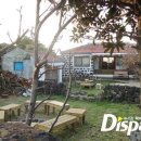 메종드오조락 이미지