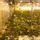 예송 농장 이미지