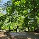 오두산 치유숲 이미지