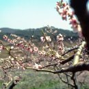 물우경로당 이미지