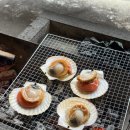 파인벨리팬션 캠핑장 이미지