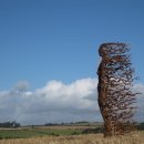 애술이야 이미지