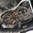 프로미카월드 이미지