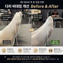 드래곤테라피