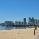 젤라떼리아사우스브룩연산 | 할리스 부산 광안리점 & 젤라떼리아 사우스브룩 광안 & 김모찌 내돈내산 후기