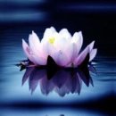 주)밝은마음 이미지