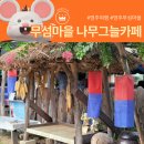 영주여행 무섬마을 나무그늘카페 무섬배차전