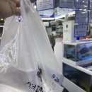 삼척대왕횟집식당