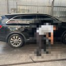 덴트칼라세차장 이미지