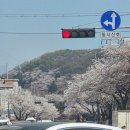 성호공원_식물원주변 이미지