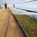 가온목장 이미지