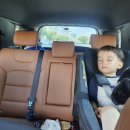 지누약국 이미지