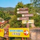 국민여가캠핑장 주차장 이미지