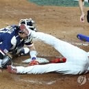 세이프 디포