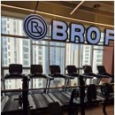 브로피트니스 복대점 이미지