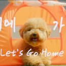스텔라음악학원 - 김포시 풍무로68번길 44 | 스텔라음악학원
