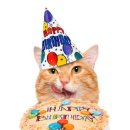 훈춘양꼬치 이미지