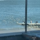 배들농장 이미지