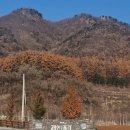 재인폭포공원(신나무숲)1 | 예상 밖의 감동, 연천 재인폭포 아침산책 후기 파크골프 라운딩 전 워밍업