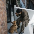 선샤인