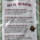 지금머랭 | 6개월 만에 성공한 마이머랭 두쫀쿠 구매 후기 (+택배 꿀팁+솔직한 맛 평가)