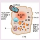 다리 혈액순환 영양제 관리 후기 및 혈액순환 안되면