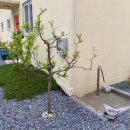 태안풀빌라케럿 이미지