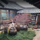 상원리 영덕LPG충전소 | 생방송 오늘저녁 영덕 100년 고택 부부의 밥상 펜션 우리집 삼시세끼 민박집 은혜당 한옥펜션 위치